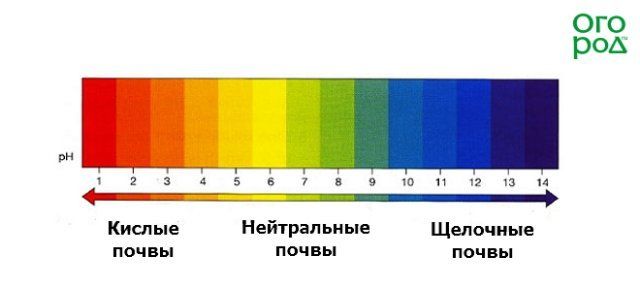 Кислотность почвы презентация